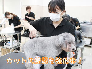 １年生、カットもがんばっています！